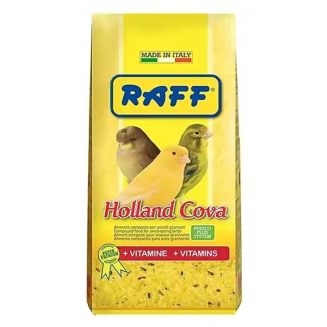 RAFF HOLLAND COVA 300G 20 UNIT
