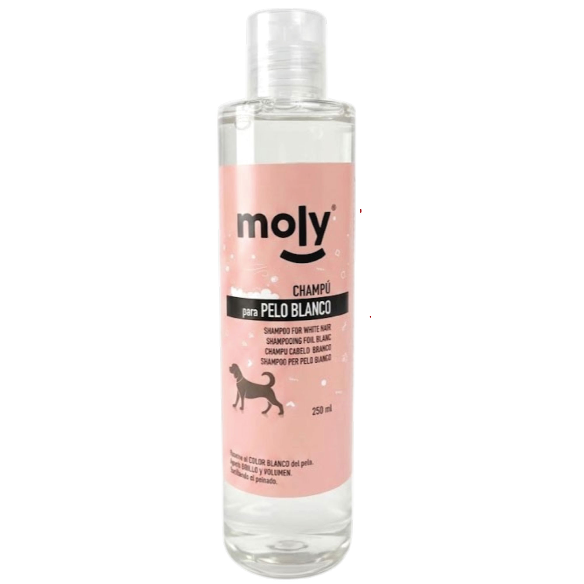 SHAMPOOING POUR CHEVEUX BLANCS 250ml