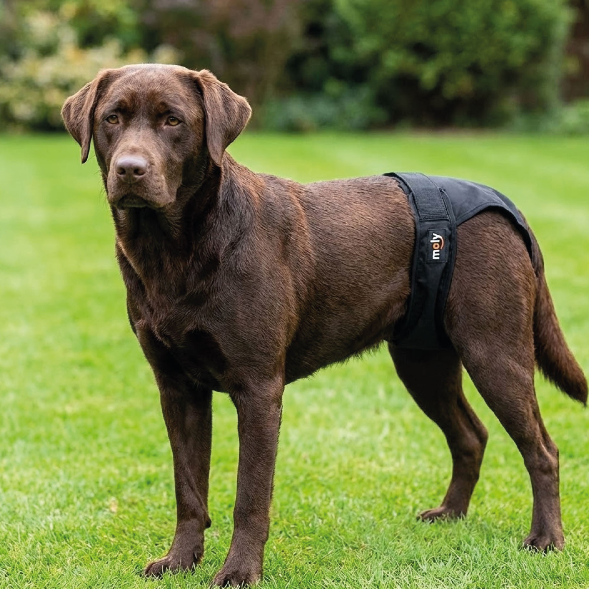 SLIP NYLON EXTRA N.5 60-70cm