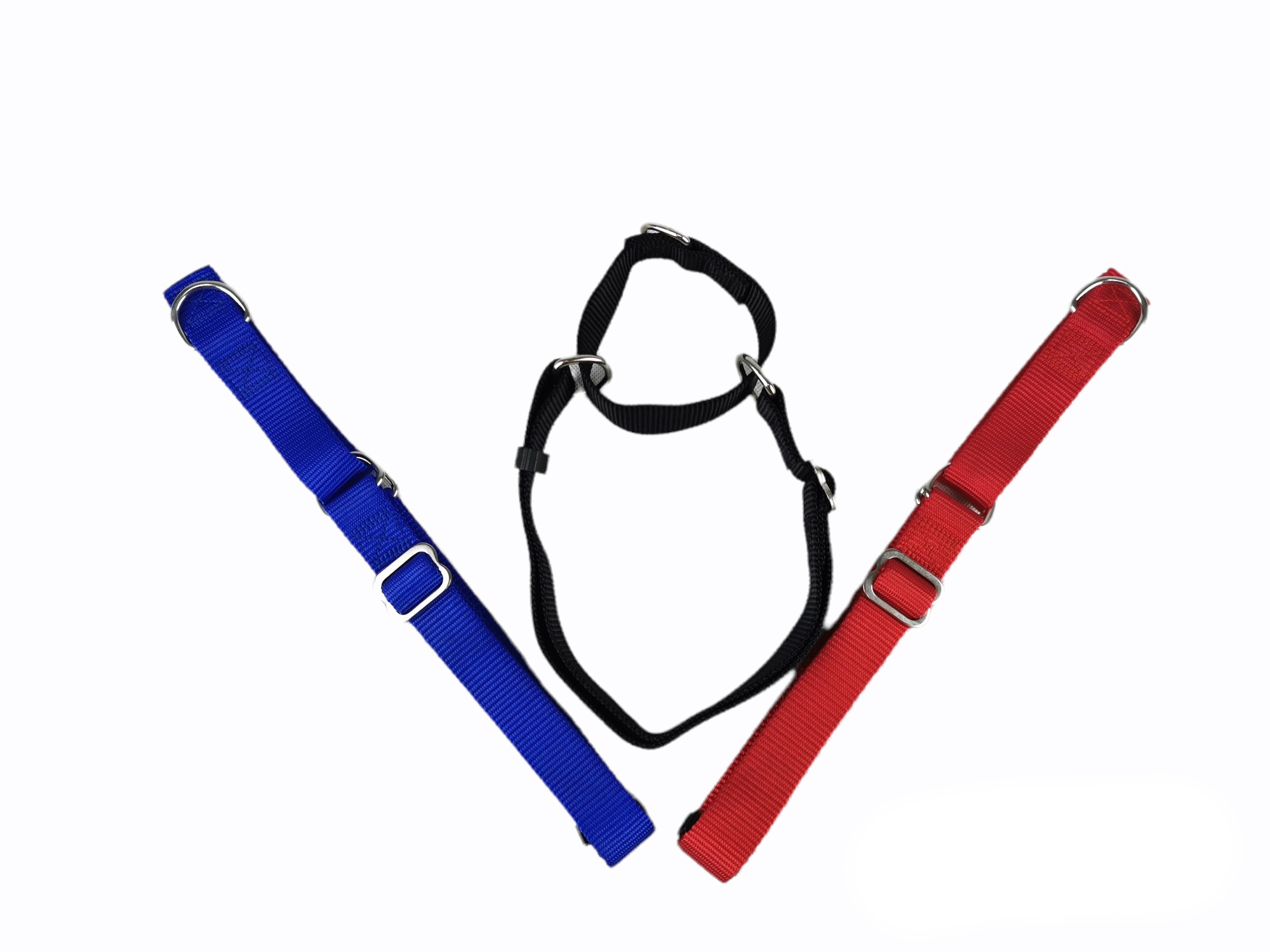 NYLON TRAINING COLLAR 85X2.5 CM