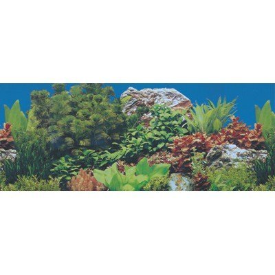 1PAPEL DECORATIVO 30CM X 1 M