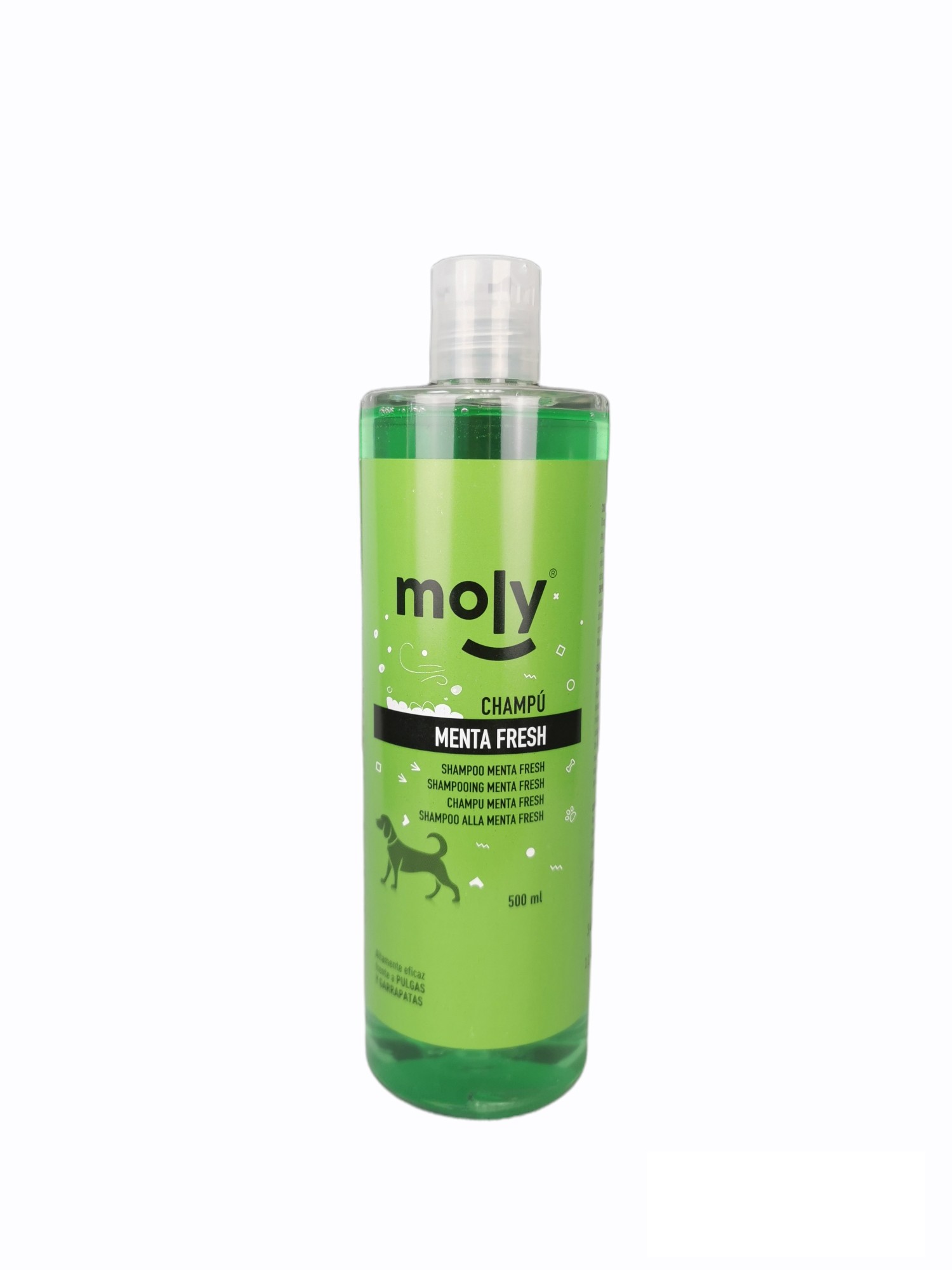MINT FRESH SHAMPOO 500 ML