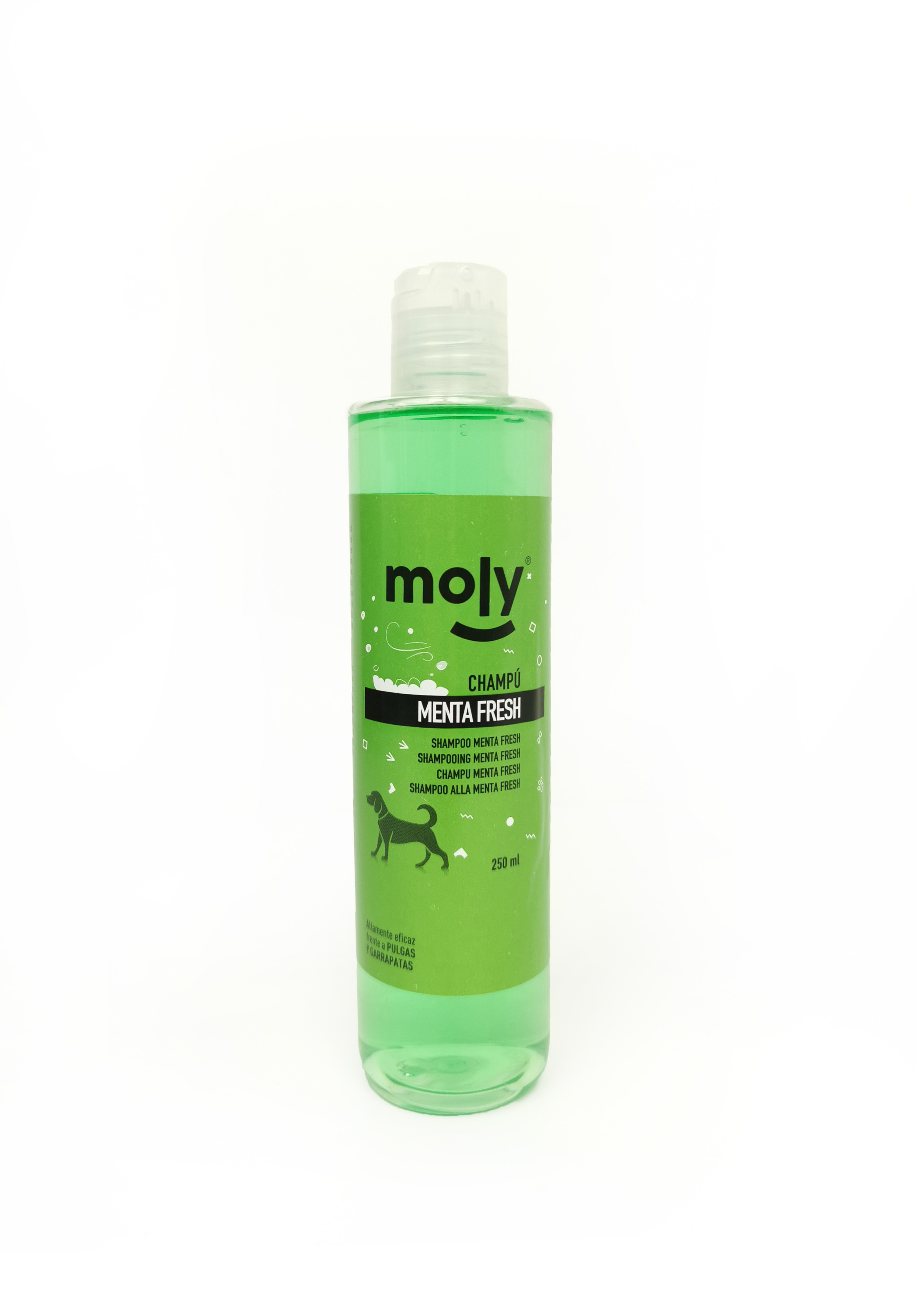 FRESH MINT SHAMPOO 250ml