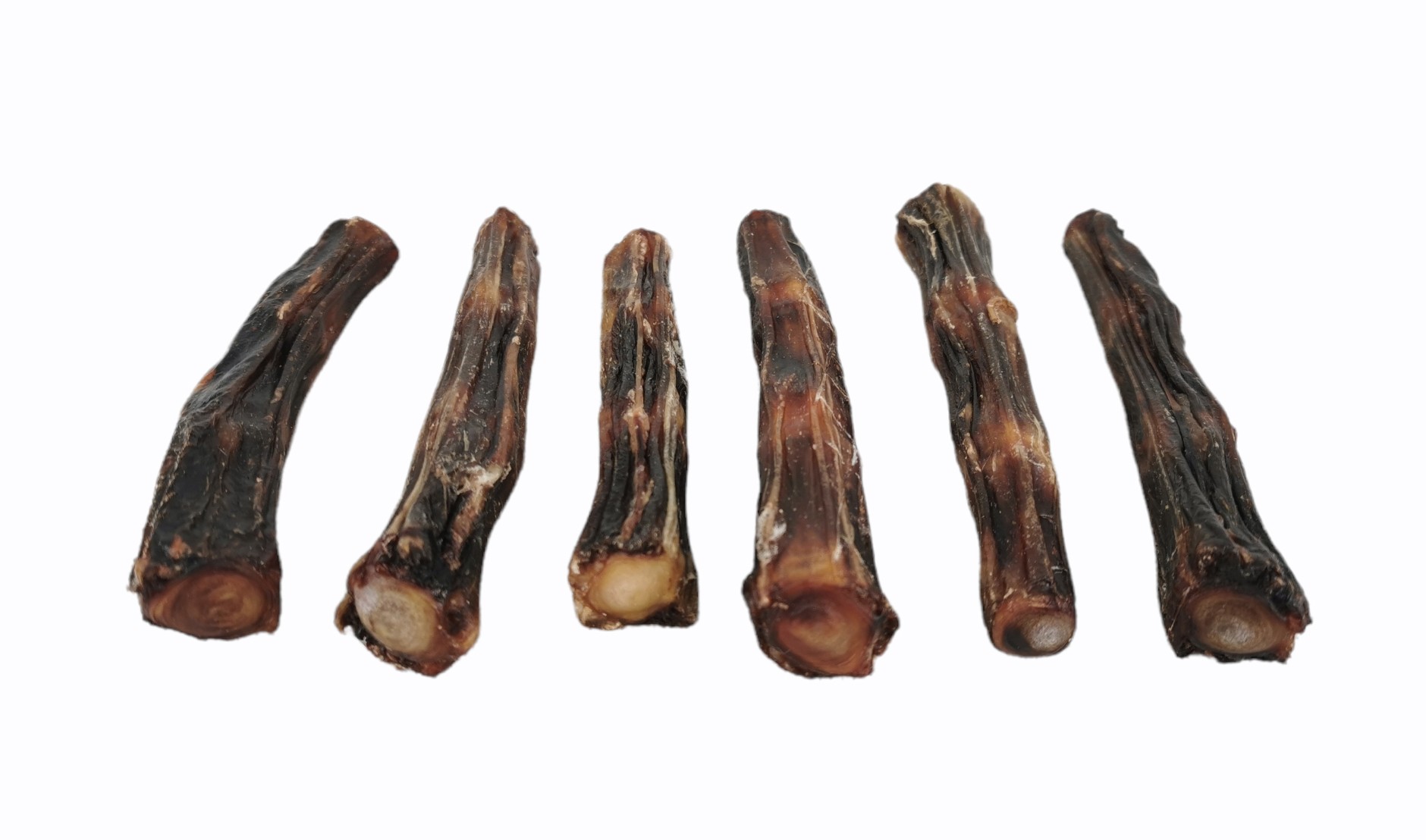 OXTAIL SIZE S (12-14 CM)