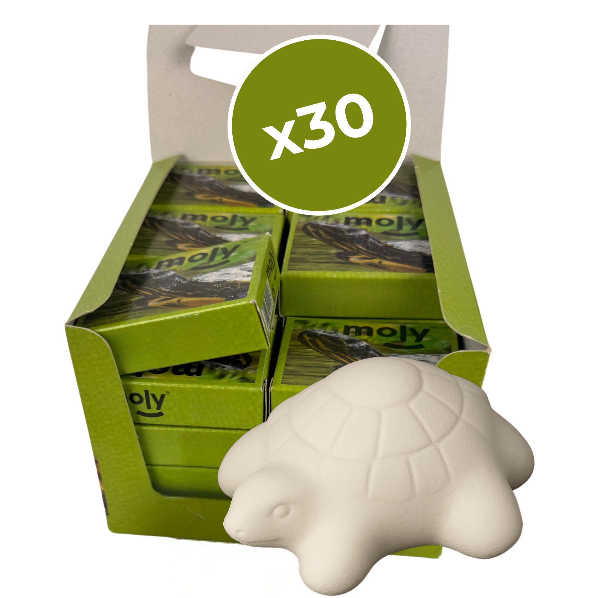 MOLY CALCIO TORTUGAS EXPO X 30 UNID