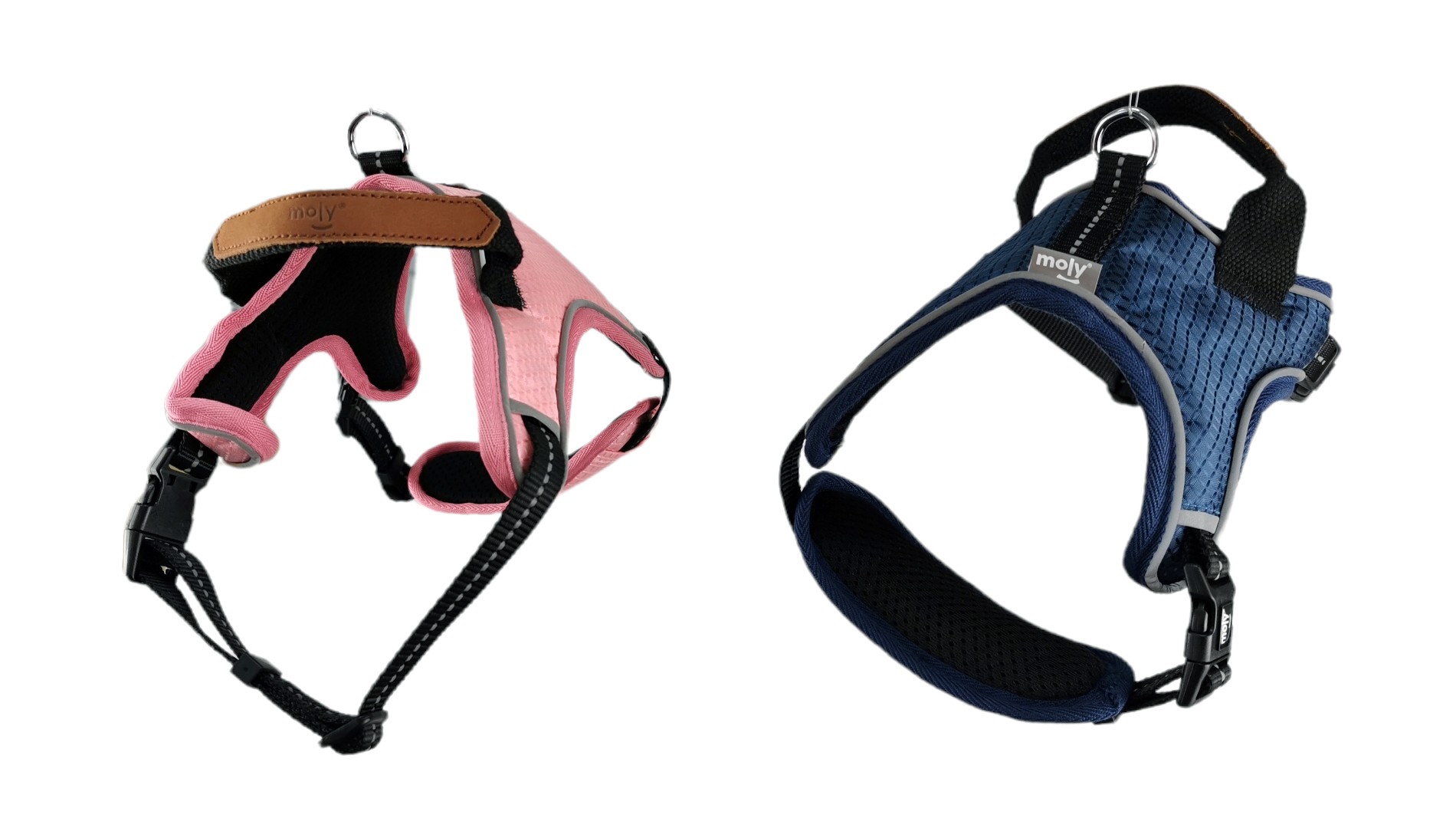 ARNES BLUE/PINK CONFORT MOLY TALLA S