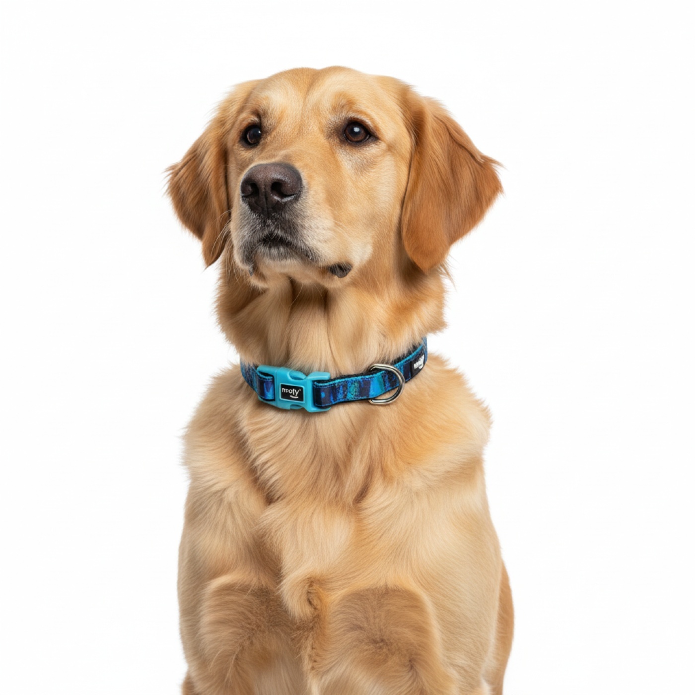 COLLANA MOLY LIMITATA 2,5*34-52 CM