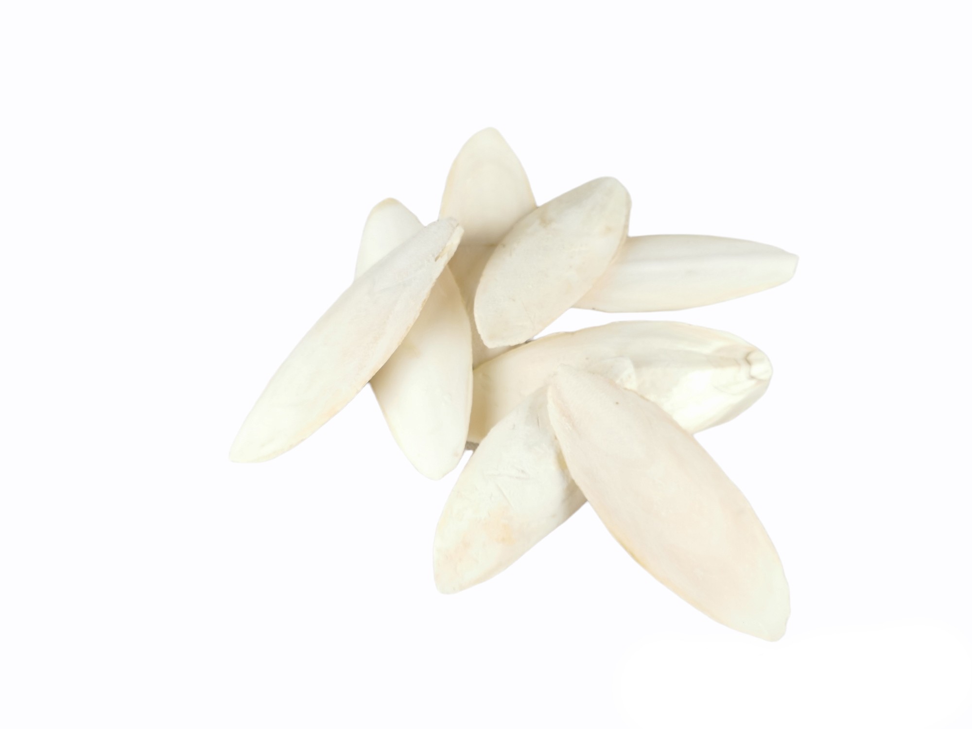 MOLY SHRIMP BONE Beutel 50 Stück 15 CM