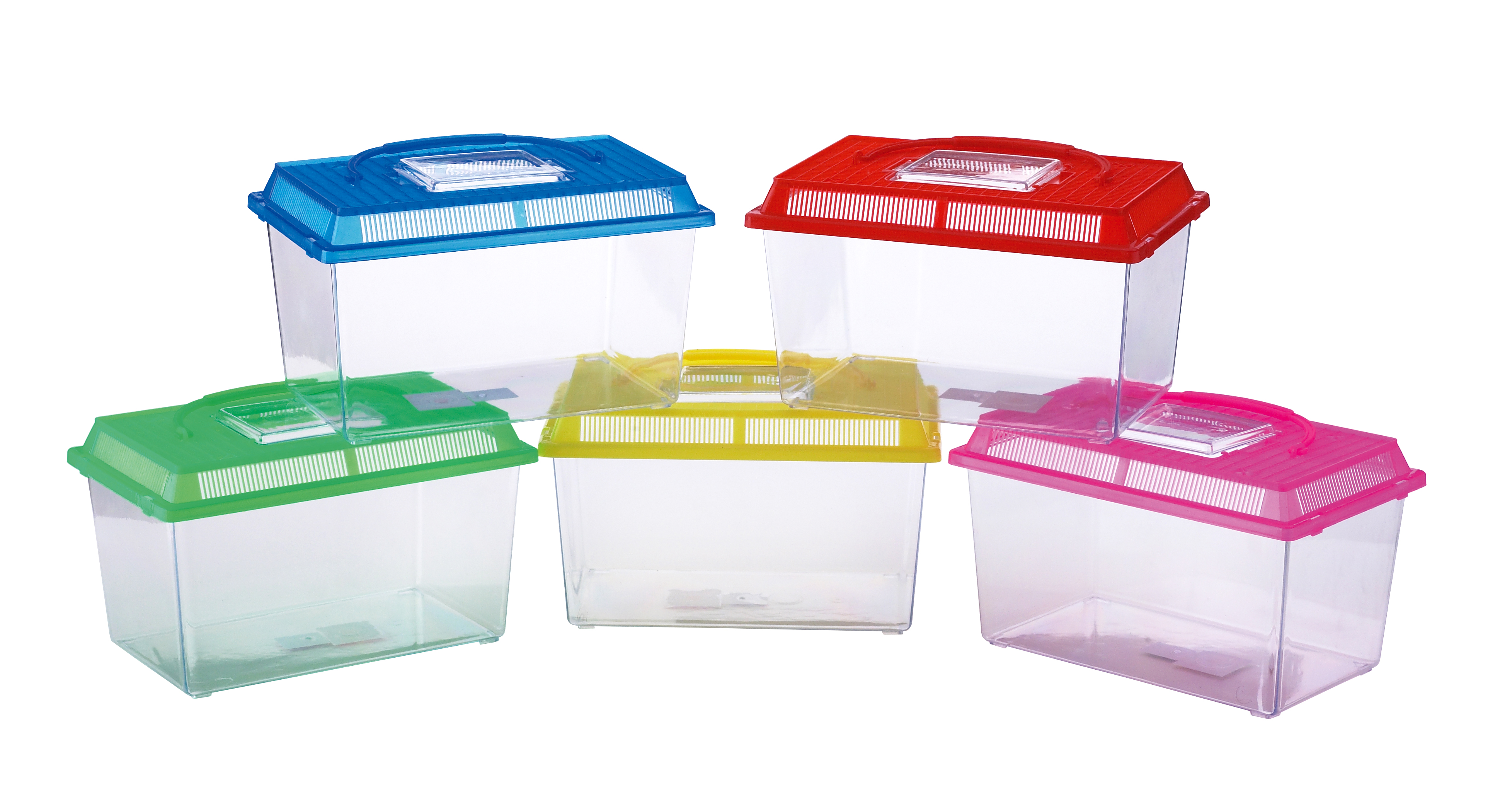 PECERA PLASTICO MEDIANA MOLY 27X16X16XCM-ACUARIO Y TRANSPORTE DE PECES