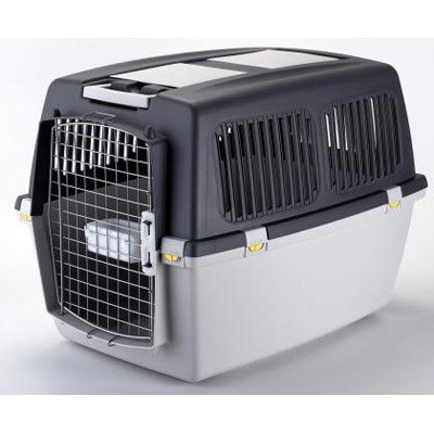 GULLIVER IATA CARRIER N.4