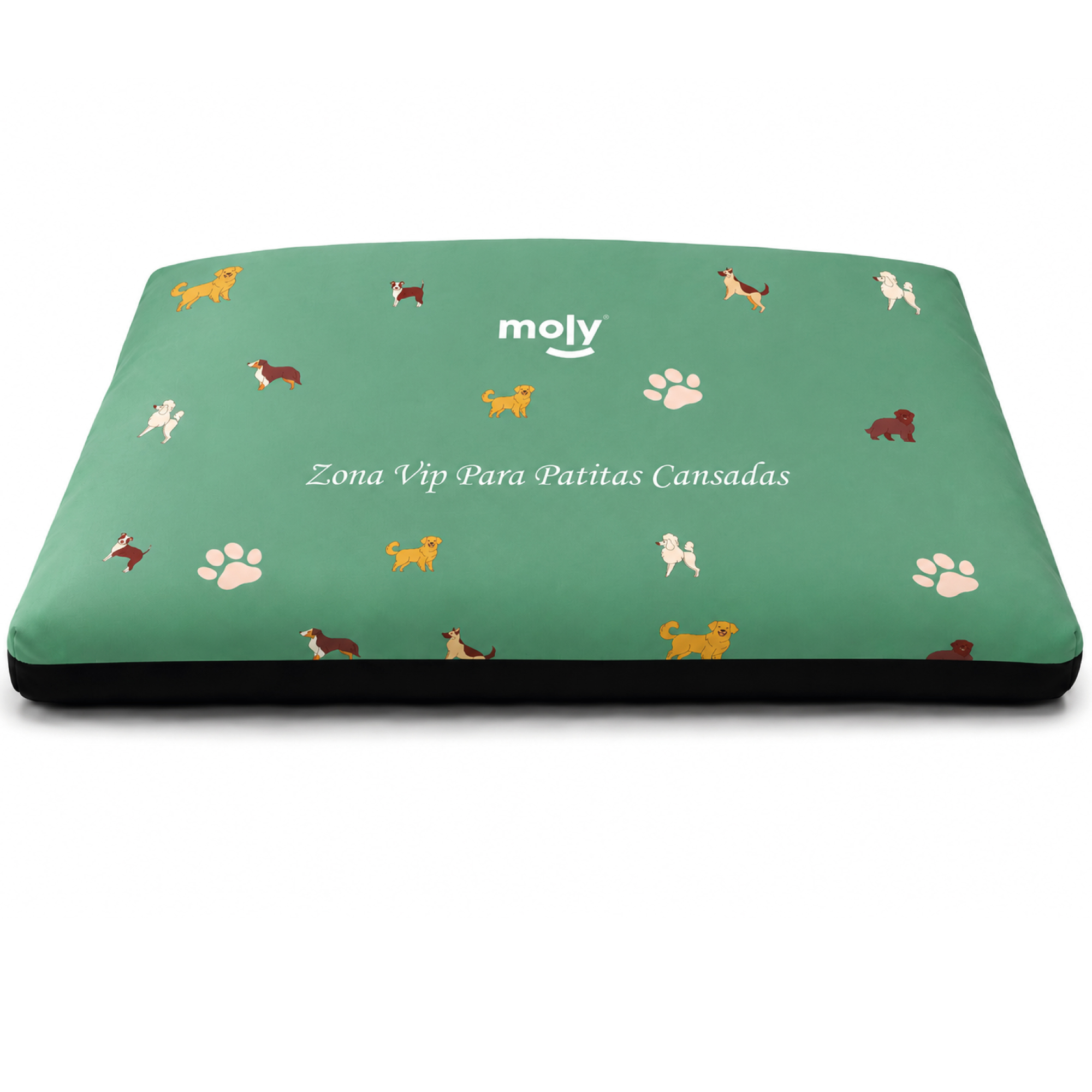 COLCHON EASY 40X60X10 CM