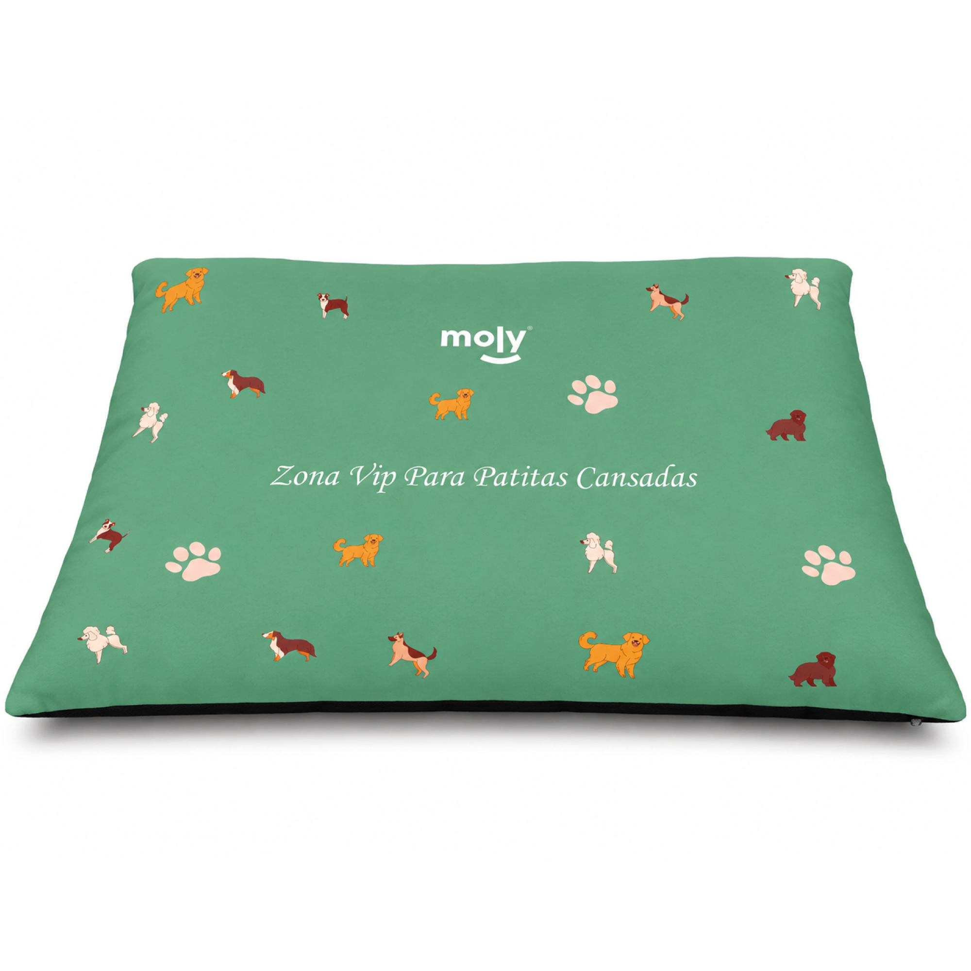 COLCHONETA EASY 60X80X4 CM