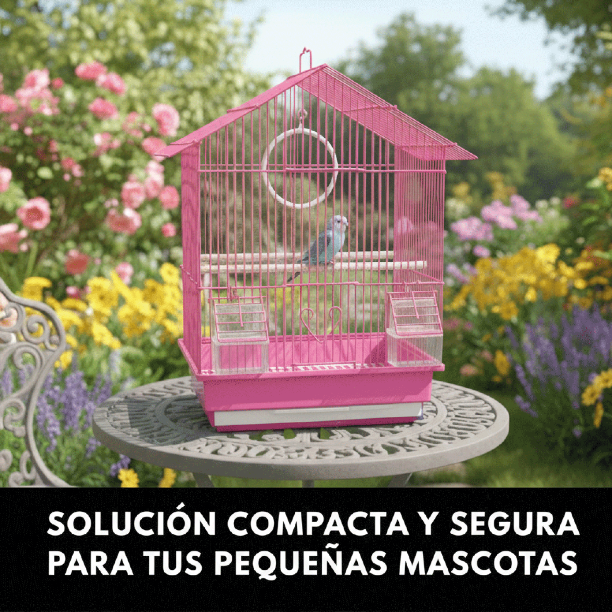 miniatura