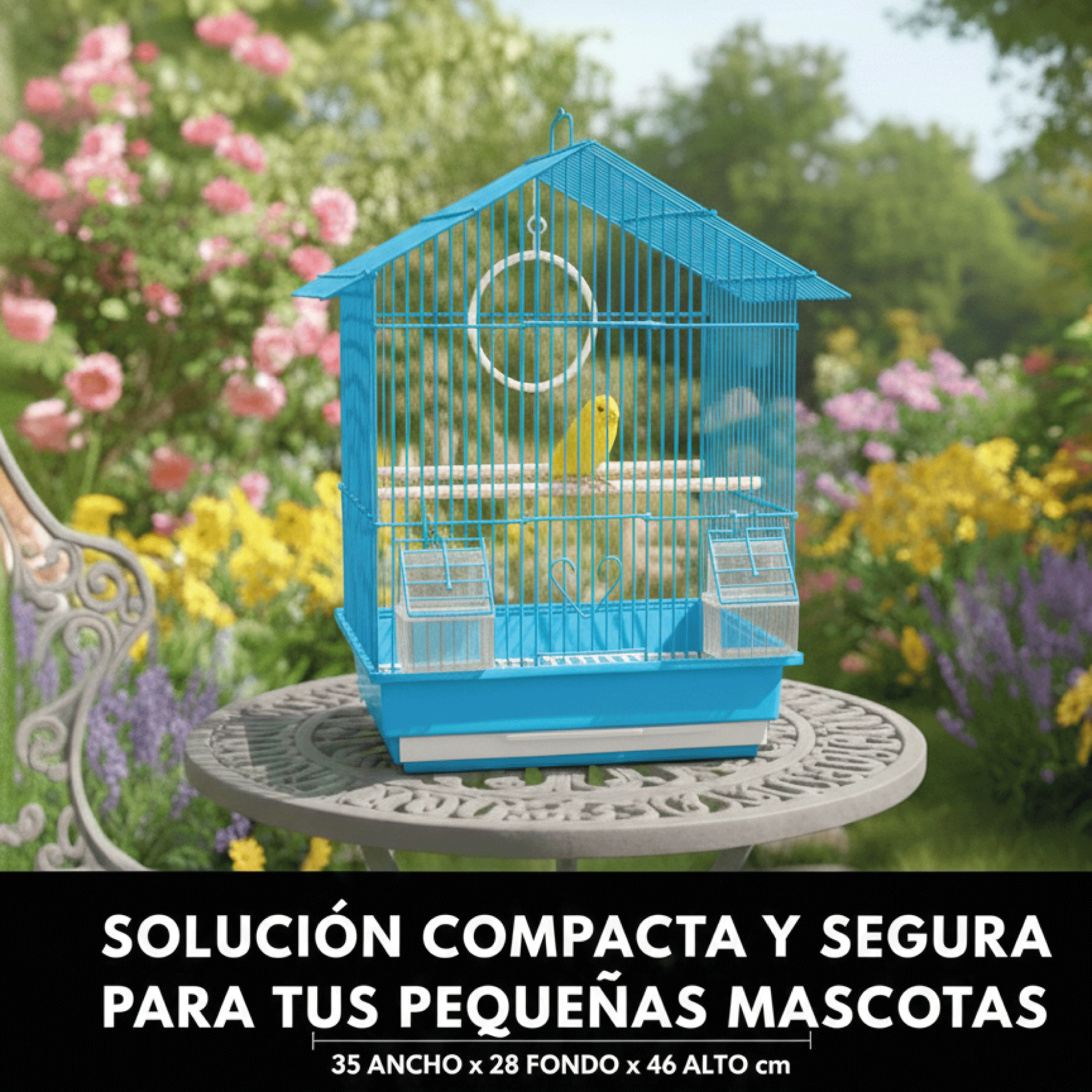 miniatura